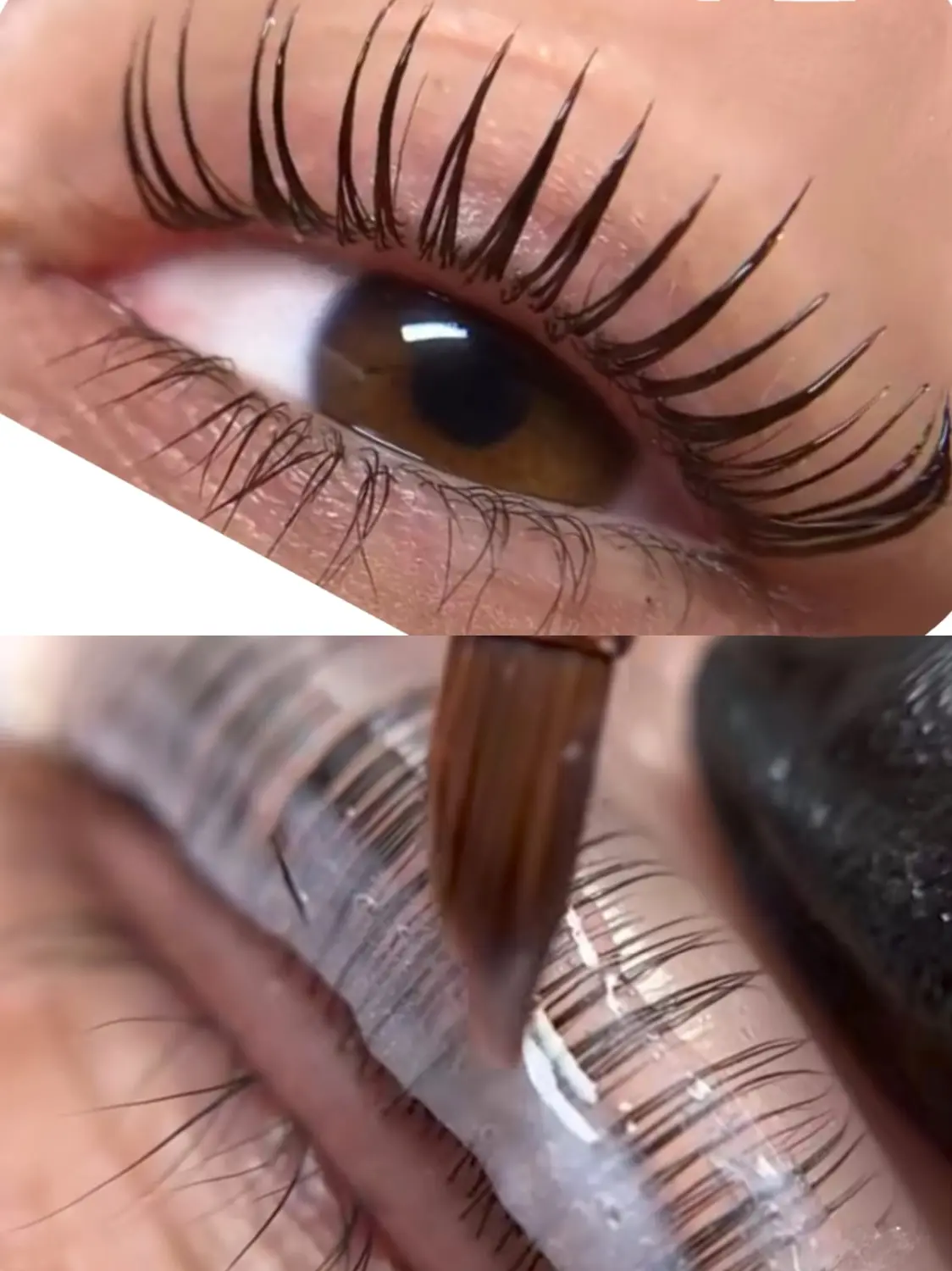 Milo's beauty oasis - Wimpernlifting