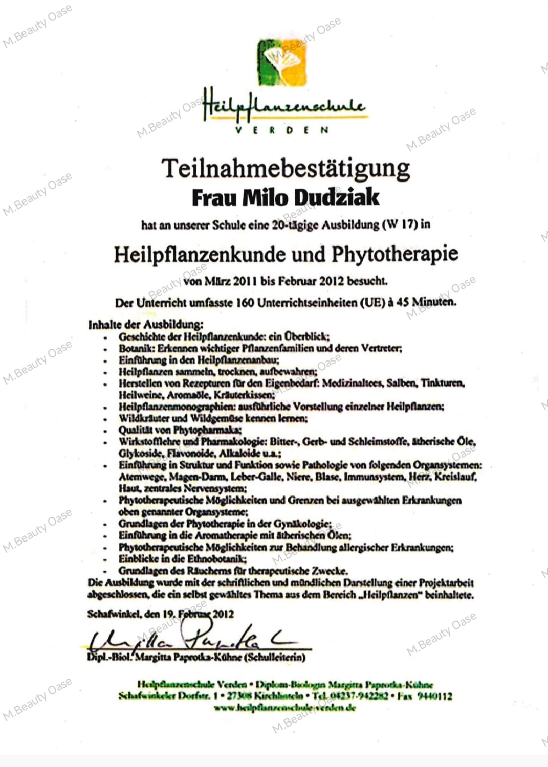 Milos Beauty Oasis - Milo Dudziak Zertifikat Augenbrauen-Mapping